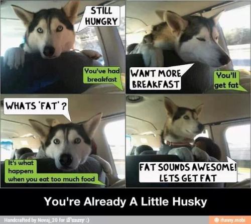 888d832f7b194fca852fa20b78955c8b