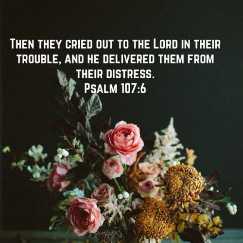 539419679_25181462884775056_8465027011043810586_n