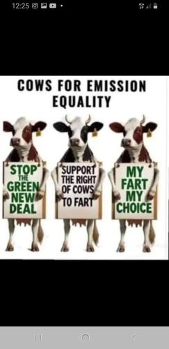 e292ab5b-9c57-40a0-8959-62394ab6a3a3