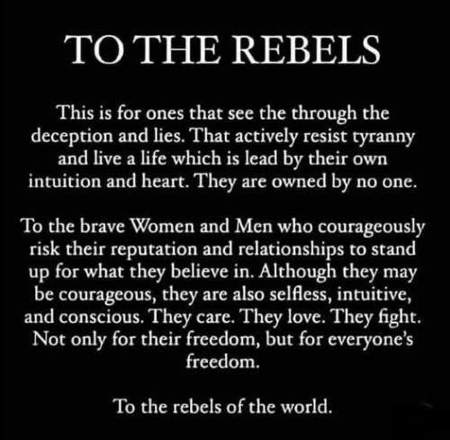 532953819_773372778912250_6464368494386830519_n