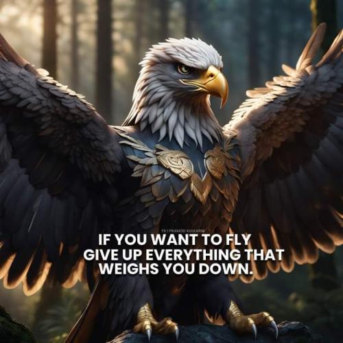 c0830ec56431cffaba3640093d8f5880