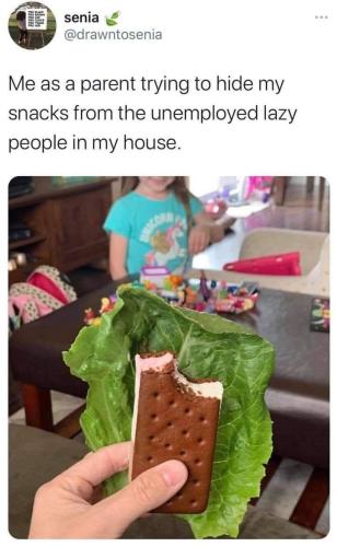 FB_IMG_1756498526734