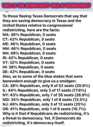 democrat-idea-of-democracy