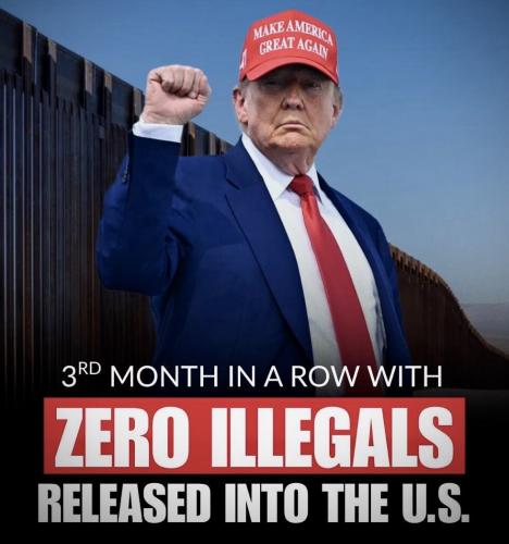 illegals zero