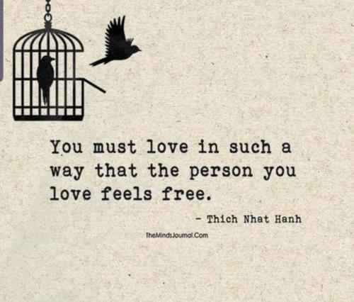 85bc5e8a99bf8736a0593f5b9eae05d8