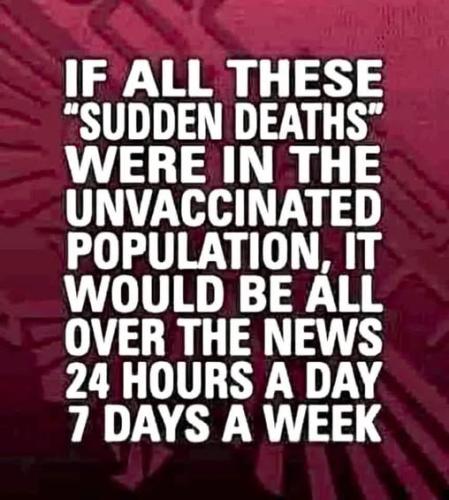 532011716_1350237863126724_2617200598314559951_n