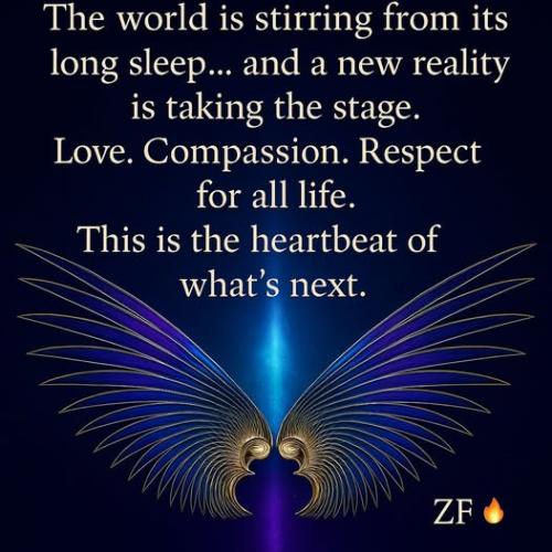 531143237_774018855312917_7001918461763529724_n