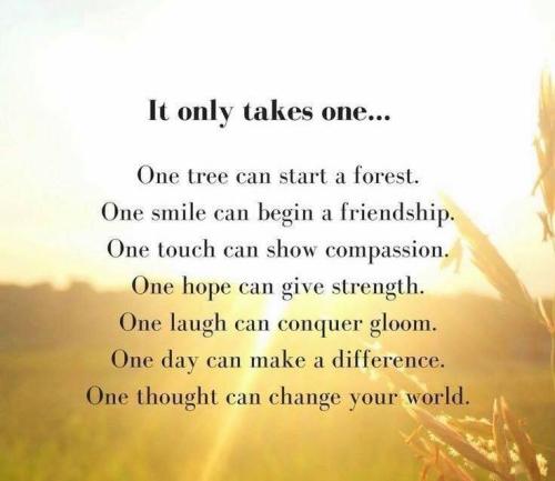 535553960_1366010891964133_2368762104752606553_n