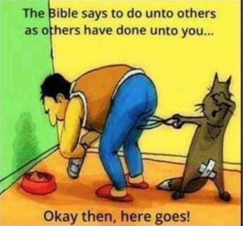 Screenshot_20250808_182013_Gallery