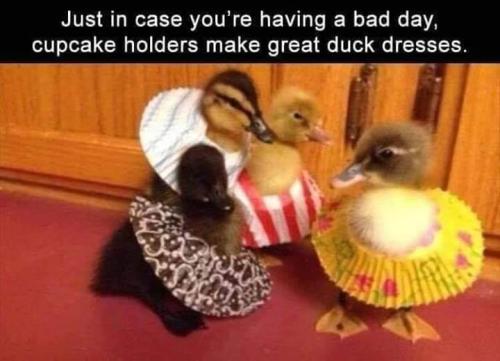 FB_IMG_1560896244413