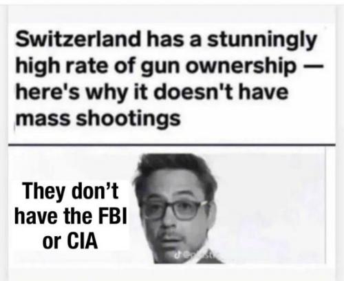 switzerland-guns