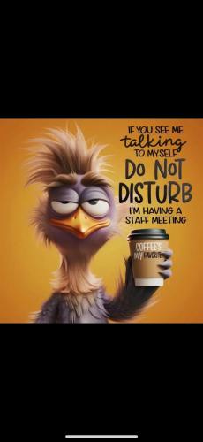 529475021_10234053573773584_122972872845055713_n