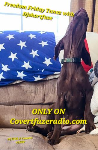 Screenshot_20250826_071754_Gallery