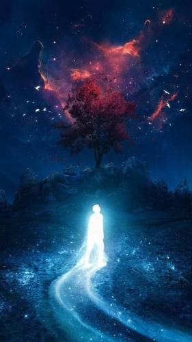 ,          ,  0424775766_746362