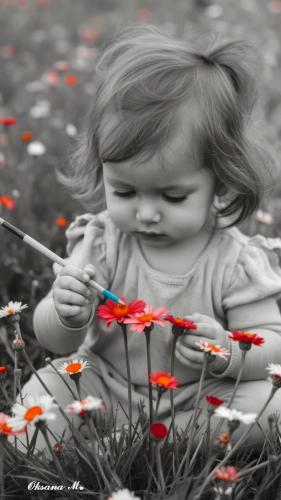 8ff82213878407b25948c4e63a57db36