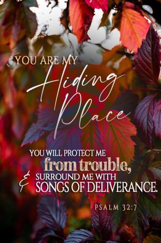 539230182_25165811403006871_4610494084085228159_n