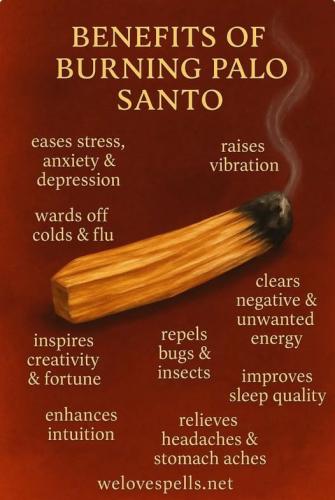 531939173_10162004164534958_5898659281306493647_n