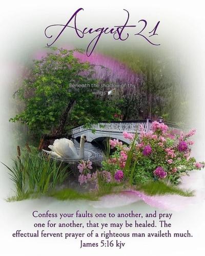 537623306_18021554552743683_7070158310252885516_n