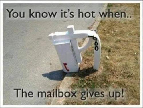 FB_IMG_1755626219211
