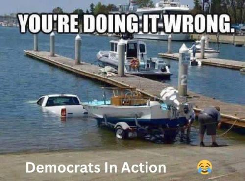 Democrats In Action
