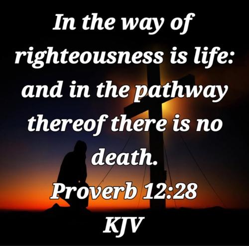 31b3e87f-b582-4244-95ce-d842d8e80829