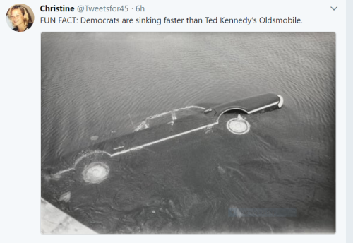 ted kennedy's olds