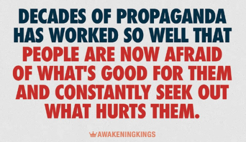 Screenshot 2025-08-05 170434