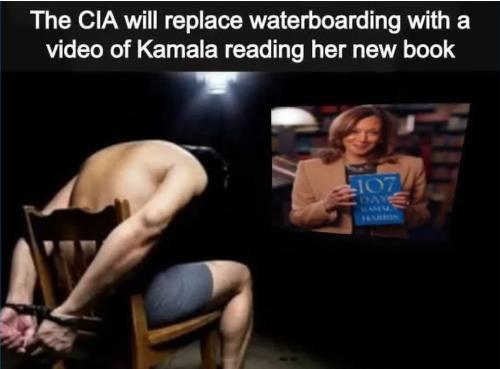 waterboarding