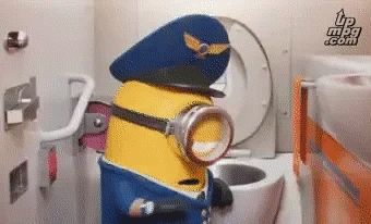 minion pilot-e