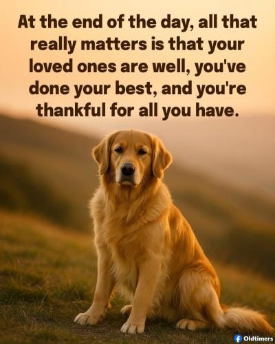 541449734_122185013210393657_8825423356015031289_n