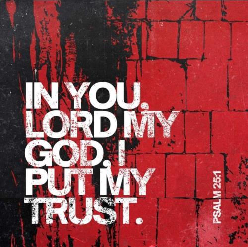 e6bbe24d5bbe08332299d57ee3098e84