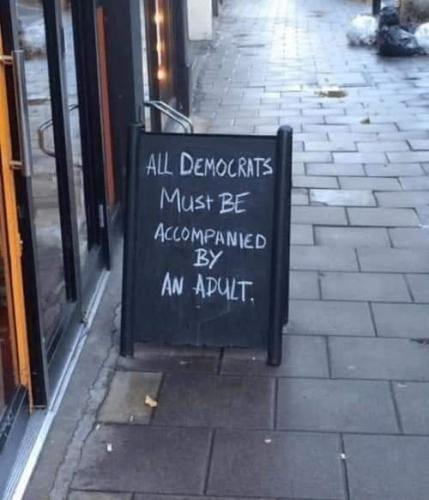 Democrats are Adolescents 1