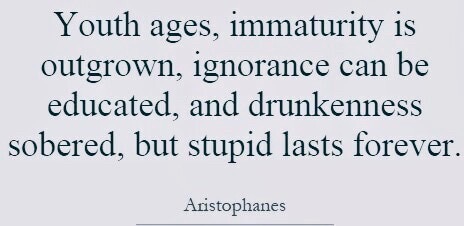 04160aab-4744-4cb2-a2ab-3b13a3fe73f9