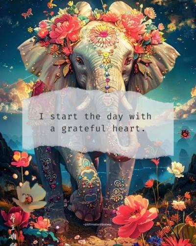 520557811_4169366046628291_612122188757759949_n