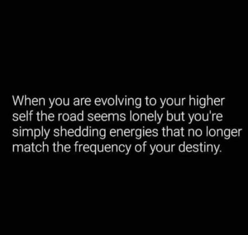 530279773_122181196994537308_7507978544913346454_n