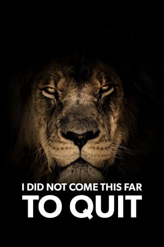 ce0346aeb483d1640c31ad5a23d8fed8