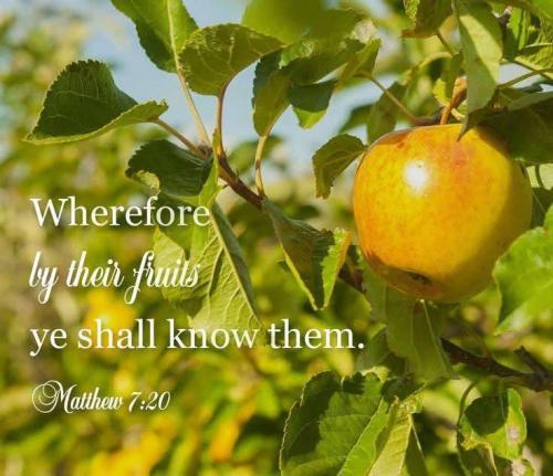 8f06fccb-1ef5-4fdd-8ca2-9d70e3073ff1