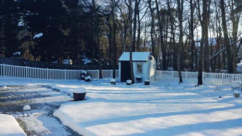 My back yard from another angle