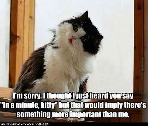 bb07fa4305e6ee8ec9b53c29962bc3da