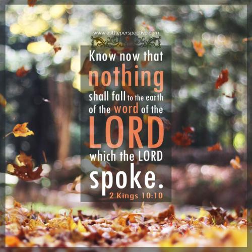 2-kin-10-10-ww-unsplash-9x