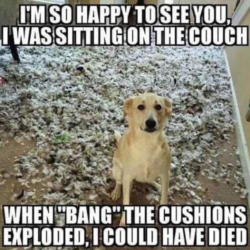 54aa361c65c58b51812a630c845afa19