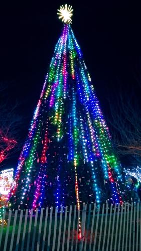 Christmas Tree Lights