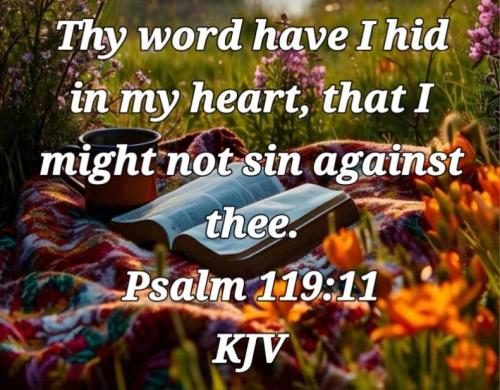 363f4e3d-4584-48da-b0b4-65a4b719fe93