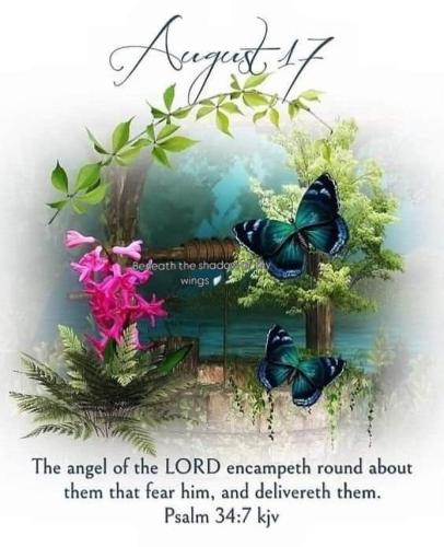 535060588_18021129032743683_6101048823641013292_n