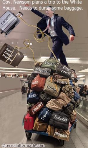 GAVIN NEWSOM WHITEHOUSE