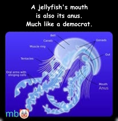 532095634_122145630686638420_9023135599908708362_n