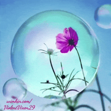 giphy-downsized-medium