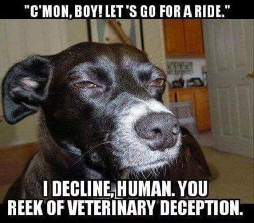 b214eda105b979309e4a34607940445b