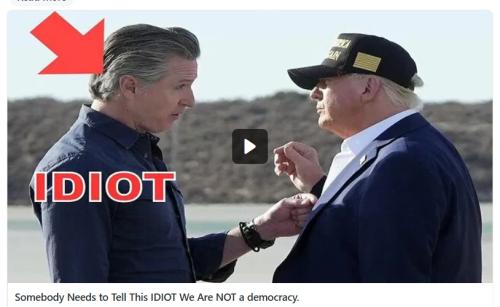 Gavin Newsom IDIOT screenshot