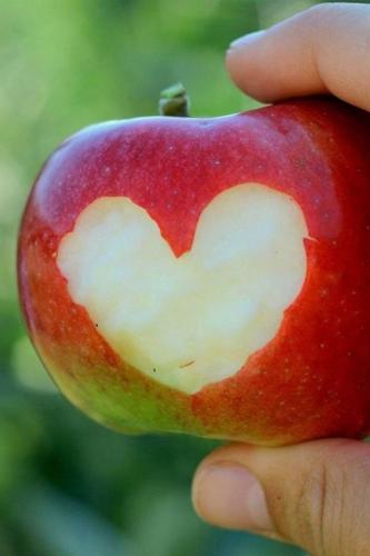 6e6add0e4060698cf21a697b6fda1559